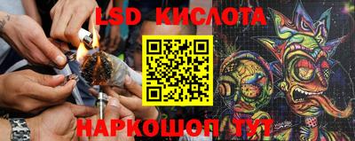 ГАЛЛЮЦИНОГЕННЫЕ ГРИБЫ Кулебаки